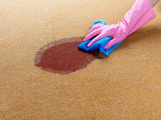 Top Tips For Removing Carpet Stains Effectively